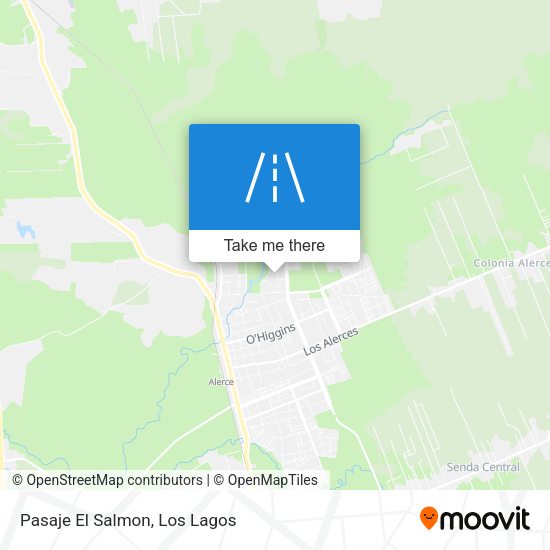 Mapa de Pasaje El Salmon