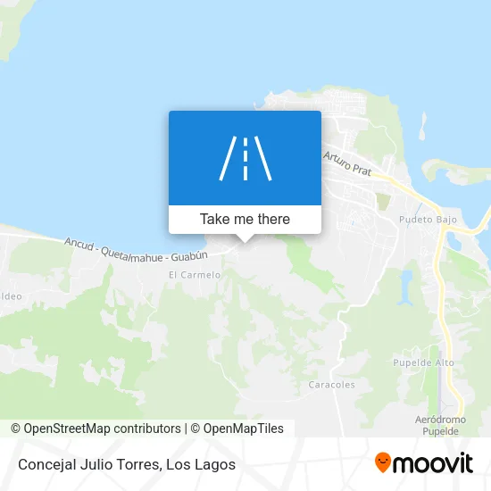 Mapa de Concejal Julio Torres
