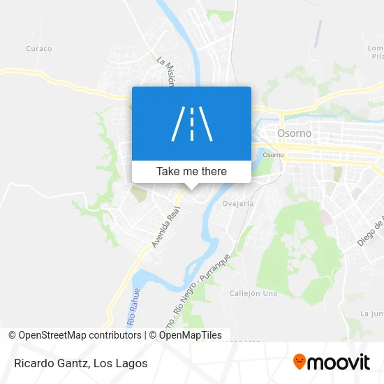 Ricardo Gantz map
