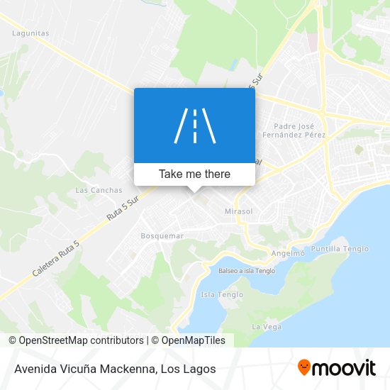 Avenida Vicuña Mackenna map
