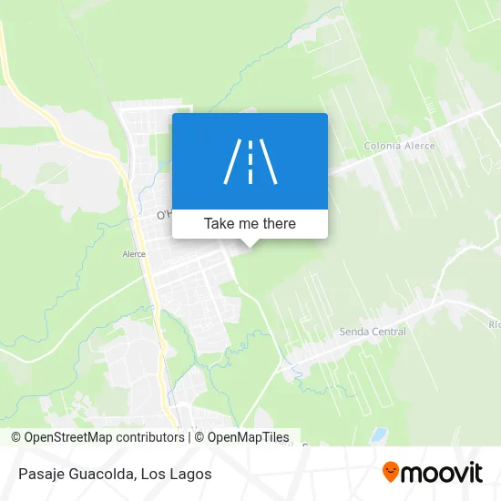 Pasaje Guacolda map