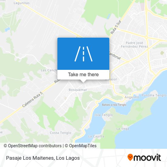 Pasaje Los Maitenes map