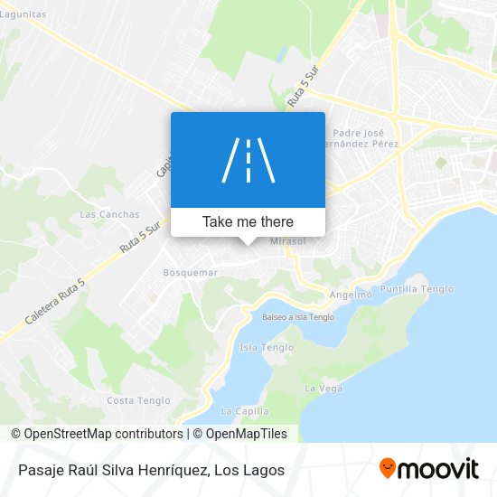 Pasaje Raúl Silva Henríquez map
