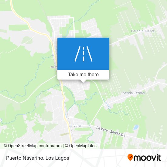 Mapa de Puerto Navarino