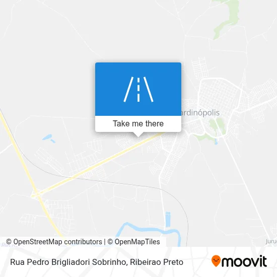 Rua Pedro Brigliadori Sobrinho map