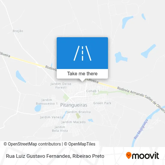 Rua Luiz Gustavo Fernandes map