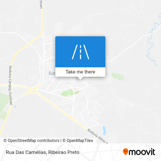 Rua Das Camélias map
