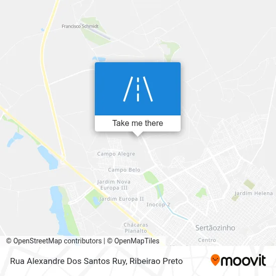 Rua Alexandre Dos Santos Ruy map