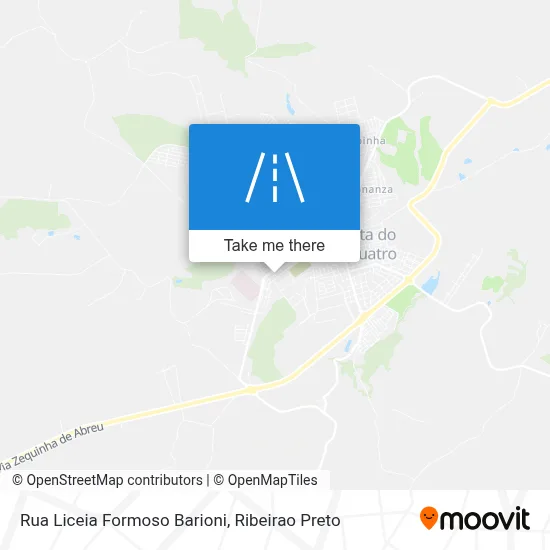 Rua Liceia Formoso Barioni map
