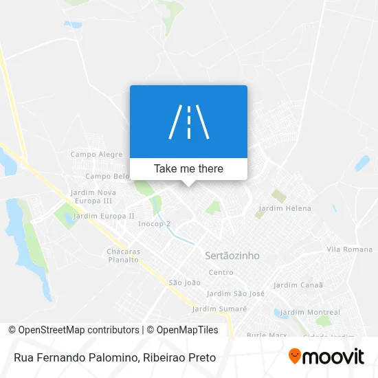 Rua Fernando Palomino map