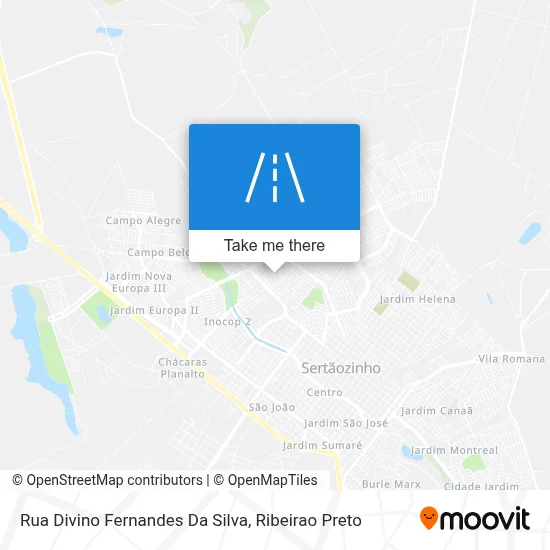 Rua Divino Fernandes Da Silva map