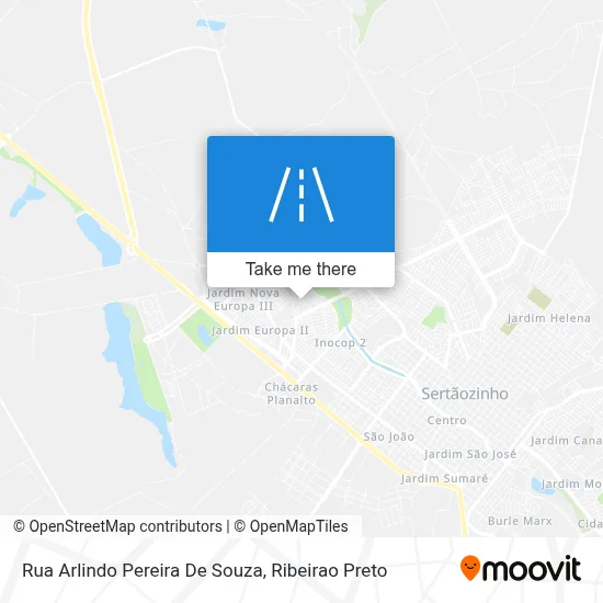 Rua Arlindo Pereira De Souza map