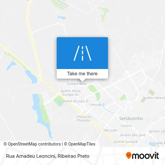 Rua Amadeu Leoncini map