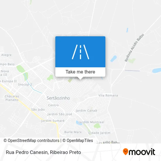 Rua Pedro Canesin map