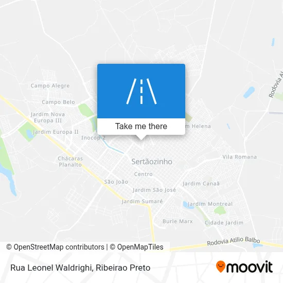Rua Leonel Waldrighi map