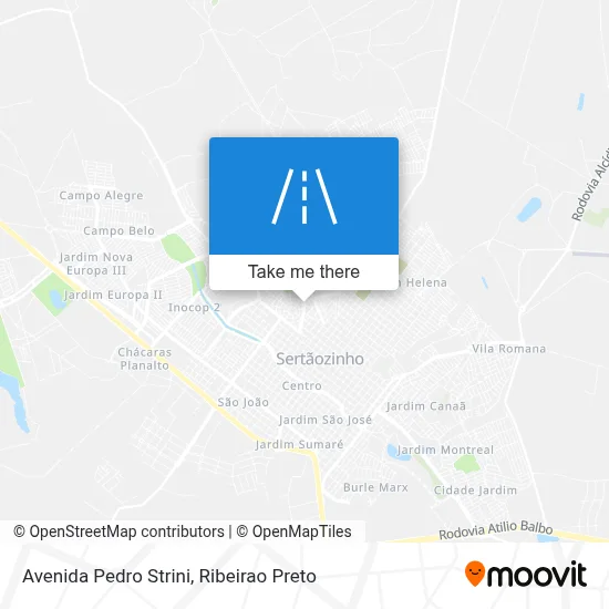 Avenida Pedro Strini map
