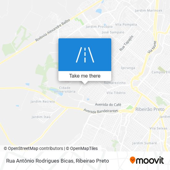 Rua Antônio Rodrigues Bicas map