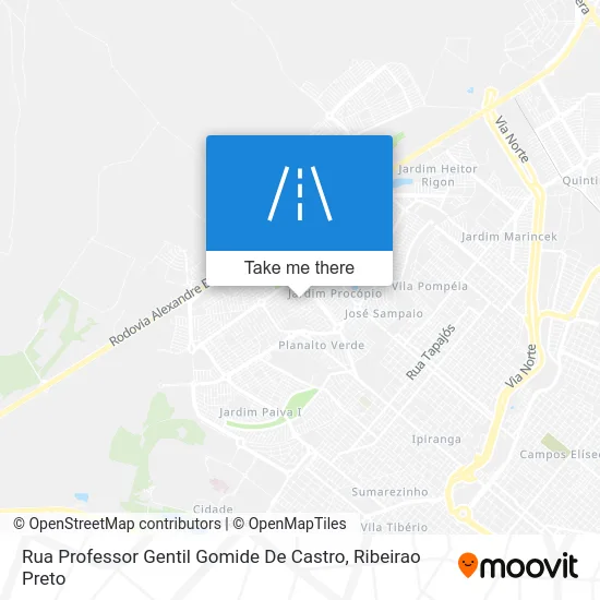 Rua Professor Gentil Gomide De Castro map