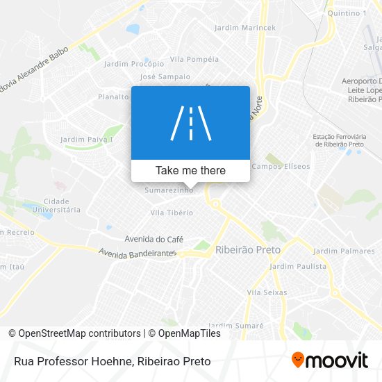 Rua Professor Hoehne map
