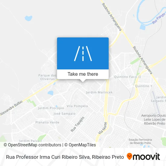 Rua Professor Irma Curi Ribeiro Silva map