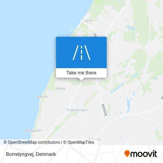 Borrelyngvej map