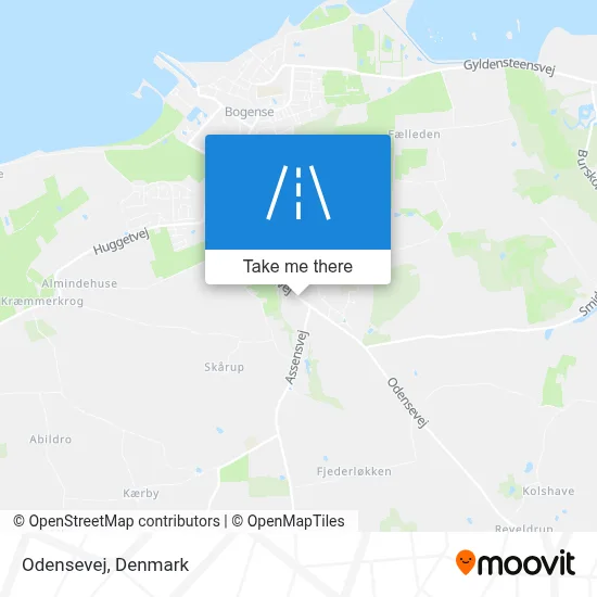 Odensevej map