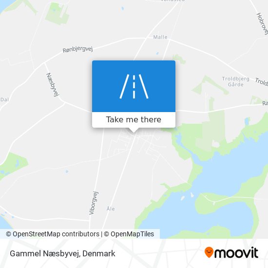 Gammel Næsbyvej map