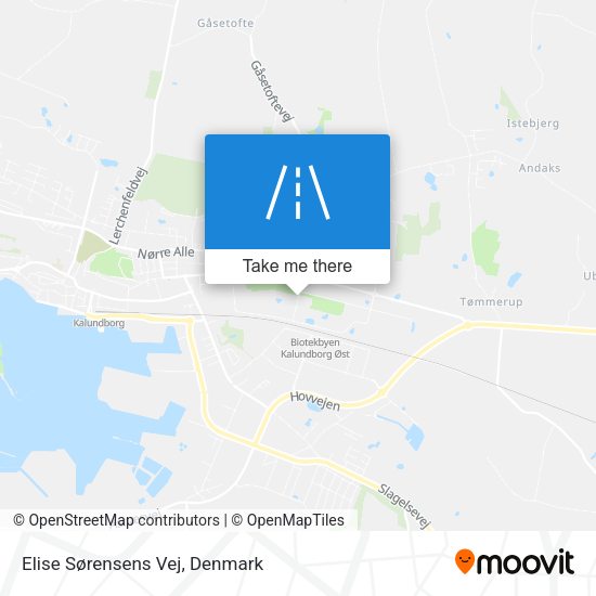 Elise Sørensens Vej map