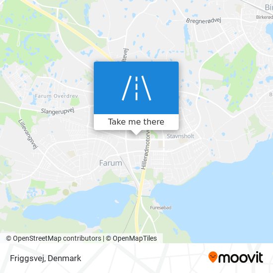 Friggsvej map