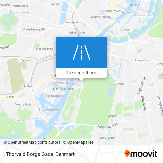 Thorvald Borgs Gade map