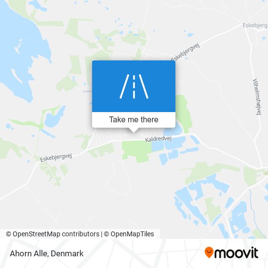 Ahorn Alle map