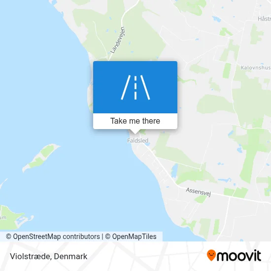 Violstræde map