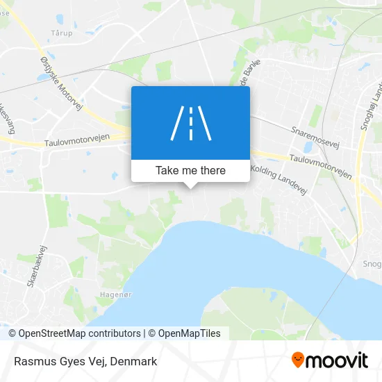 Rasmus Gyes Vej map