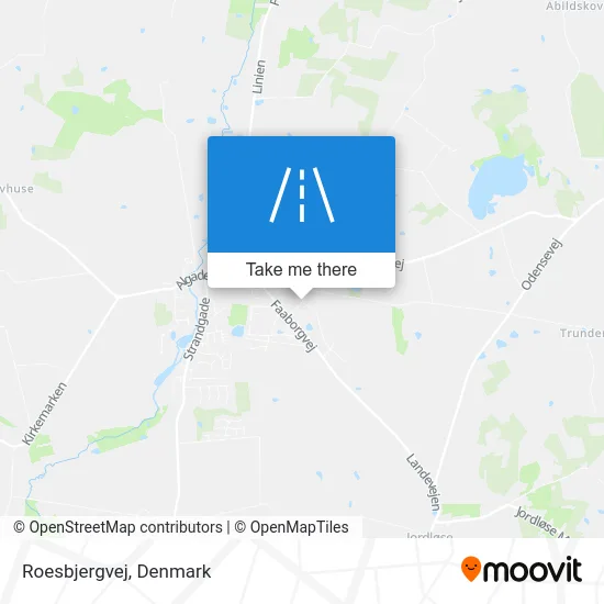 Roesbjergvej map