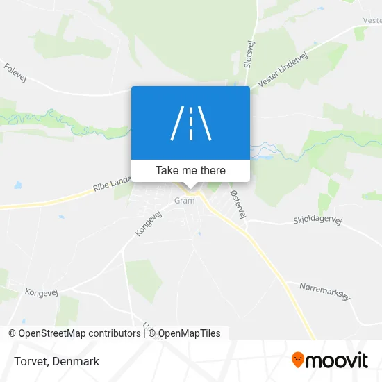 Torvet map