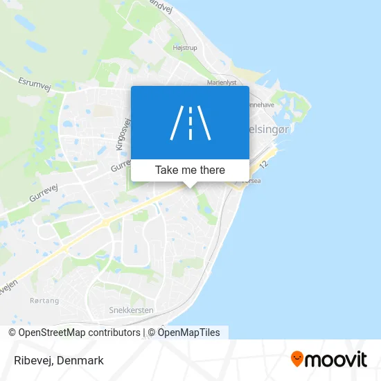 Ribevej map