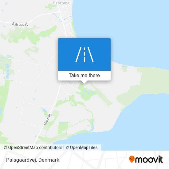Palsgaardvej map
