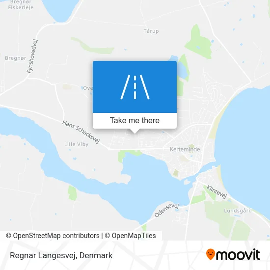 Regnar Langesvej map