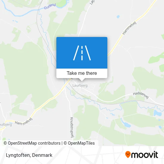 Lyngtoften map