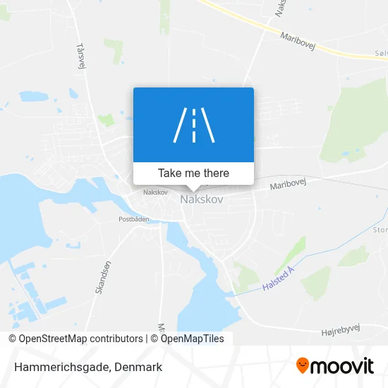 Hammerichsgade map