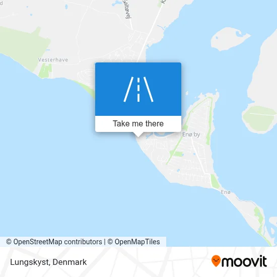 Lungskyst map