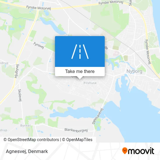 Agnesvej map