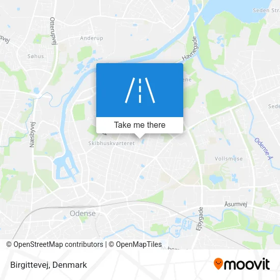 Birgittevej map