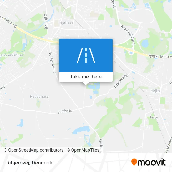 Ribjergvej map