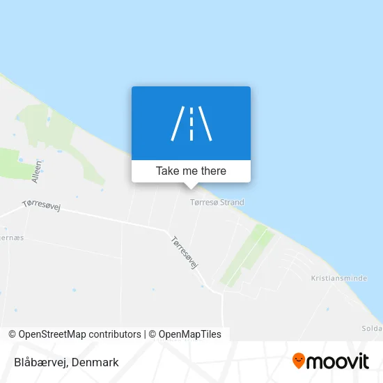 Blåbærvej map