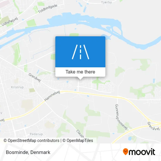Bosminde map