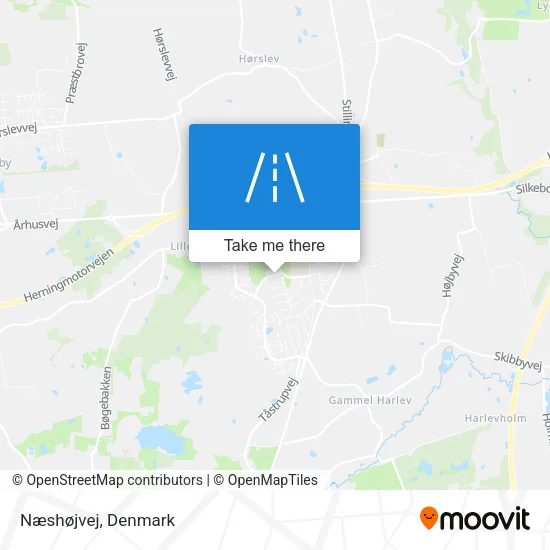 Næshøjvej map