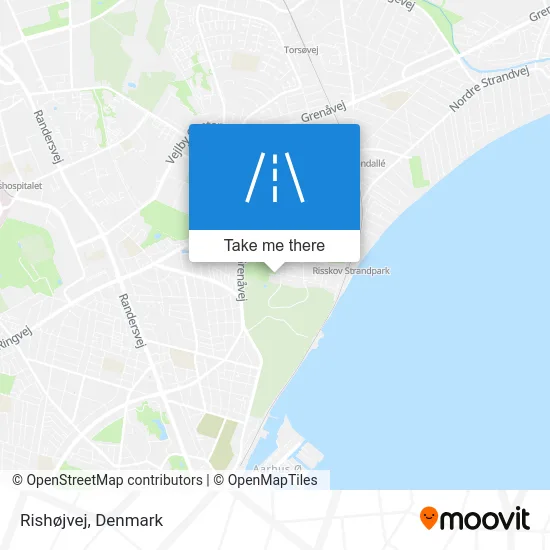 Rishøjvej map