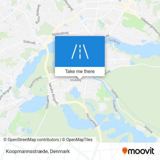 Koopmannsstræde map