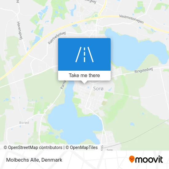 Molbechs Alle map